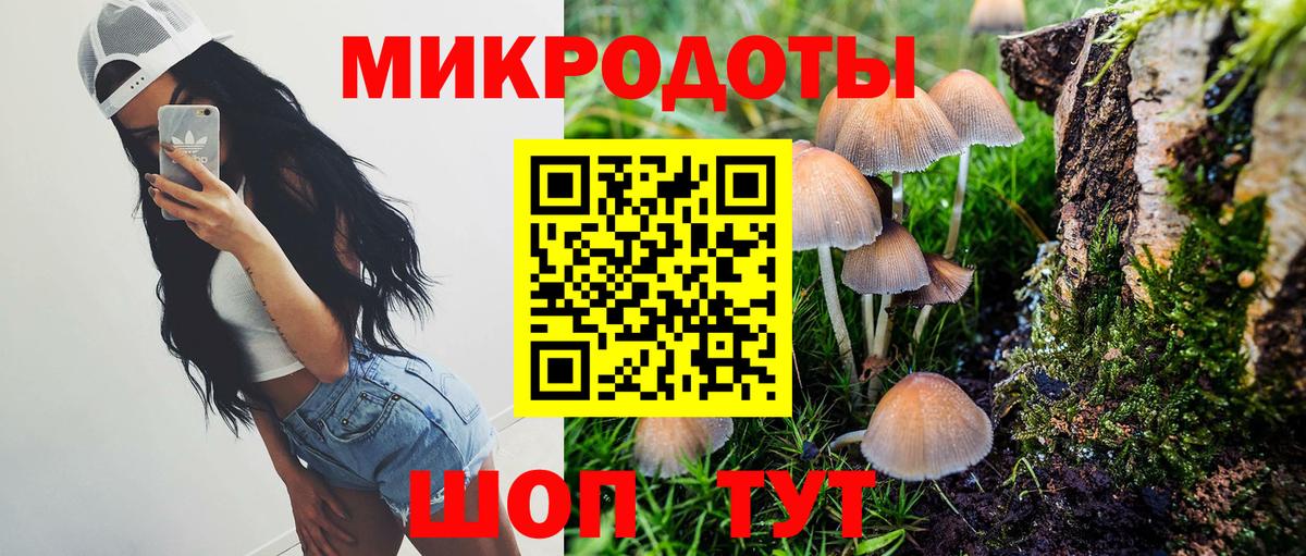 Псилоцибиновые грибы Magic Shrooms  Псилоцибиновые грибы Cubensis  Вход с VPN  Советск 